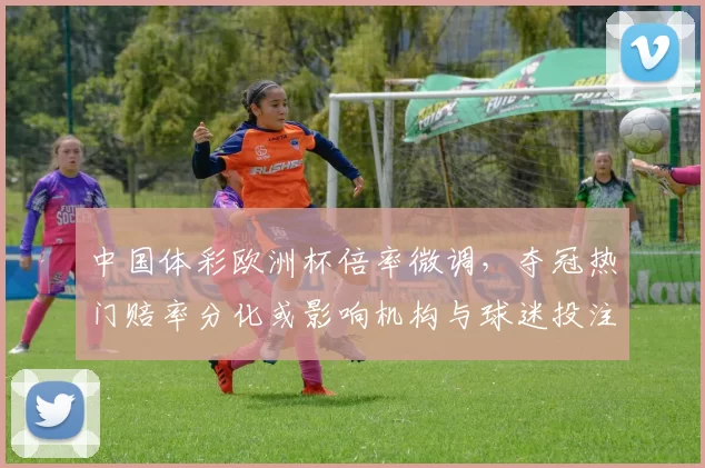 中国体彩欧洲杯倍率微调，夺冠热门赔率分化或影响机构与球迷投注方向