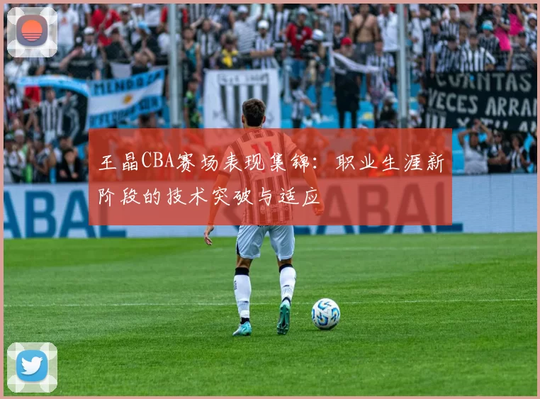 王晶CBA赛场表现集锦:职业生涯新阶段的技术突破与适应