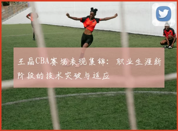 王晶CBA赛场表现集锦:职业生涯新阶段的技术突破与适应
