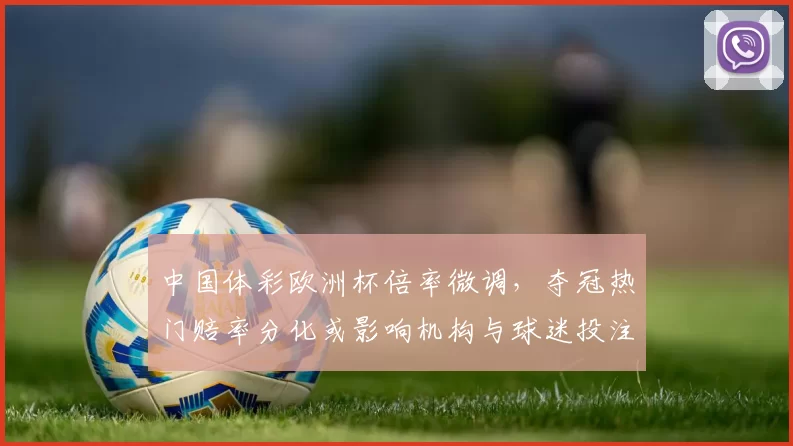 中国体彩欧洲杯倍率微调，夺冠热门赔率分化或影响机构与球迷投注方向