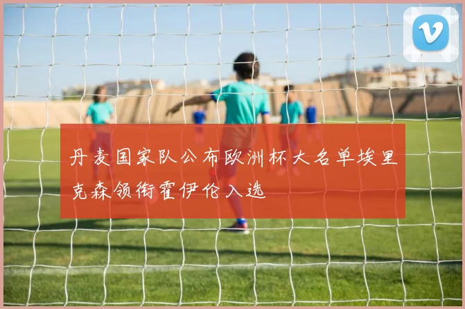 丹麦国家队公布欧洲杯大名单埃里克森领衔霍伊伦入选